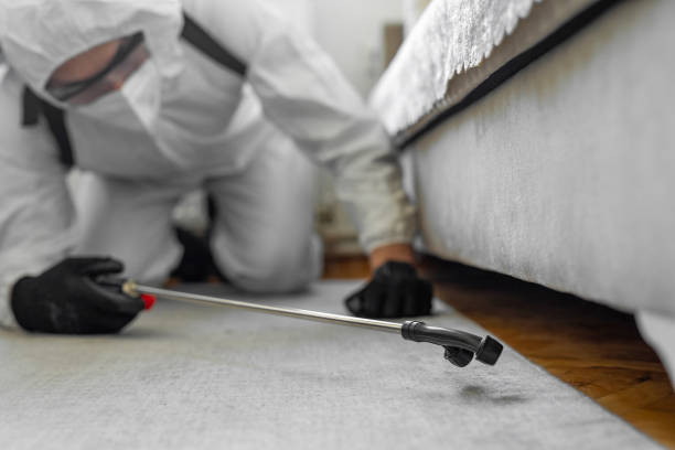 Professional Bed Bug Control technician working in Venus, TX